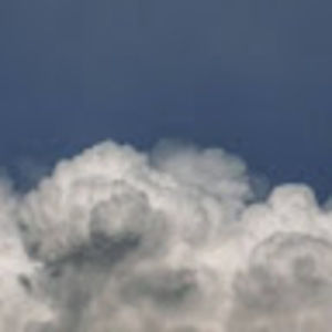 Meet your Posher, Brady